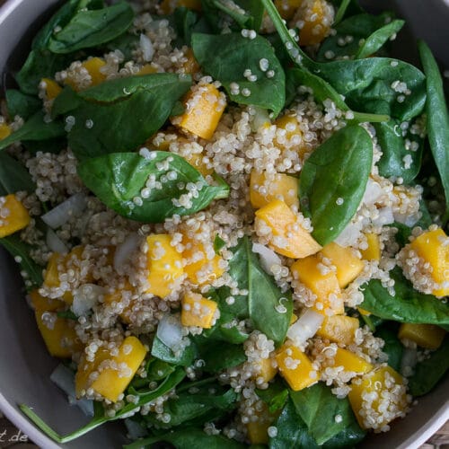 Einfacher Quinoa-Salat mit Spinat, Zwiebeln und Butternut Kürbis in einer Schüssel.
