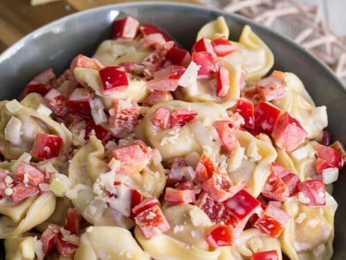 Tortellini-Salat mit roter Paprika, Zwiebeln und Parmesan in einer Schüssel mit Joghurt-Dressing.